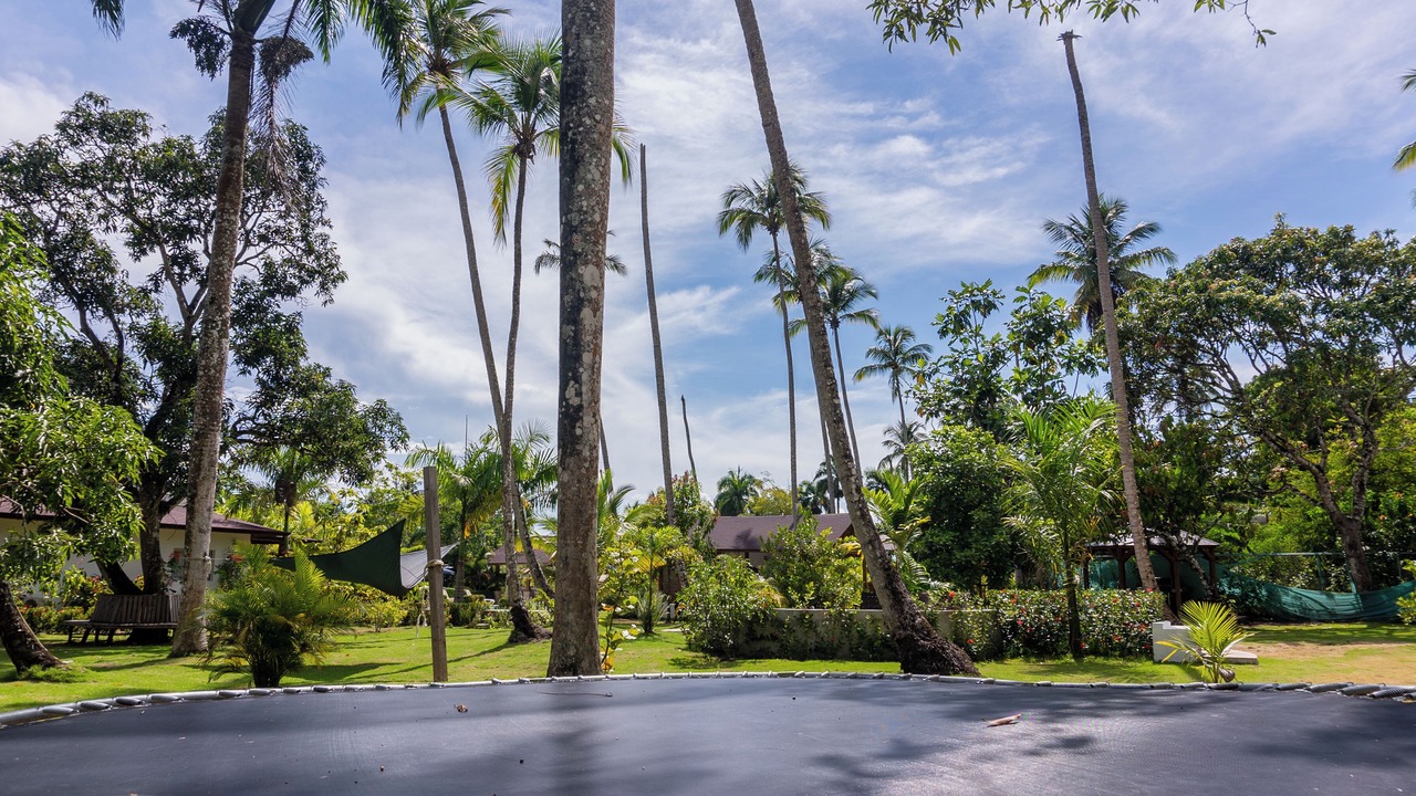 Photo of Outdoor in Sanchez