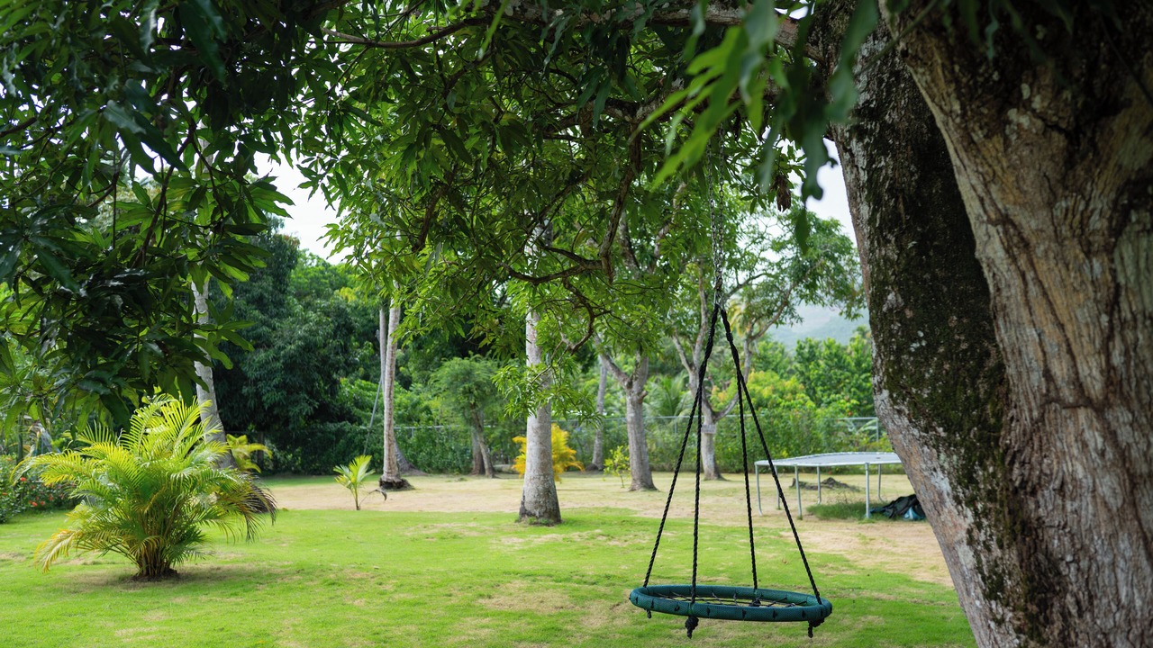 Photo of Outdoor in Puerto Bahia