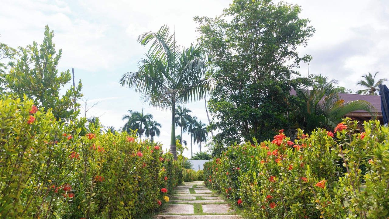 Photo of Outdoor in Puerto Bahia