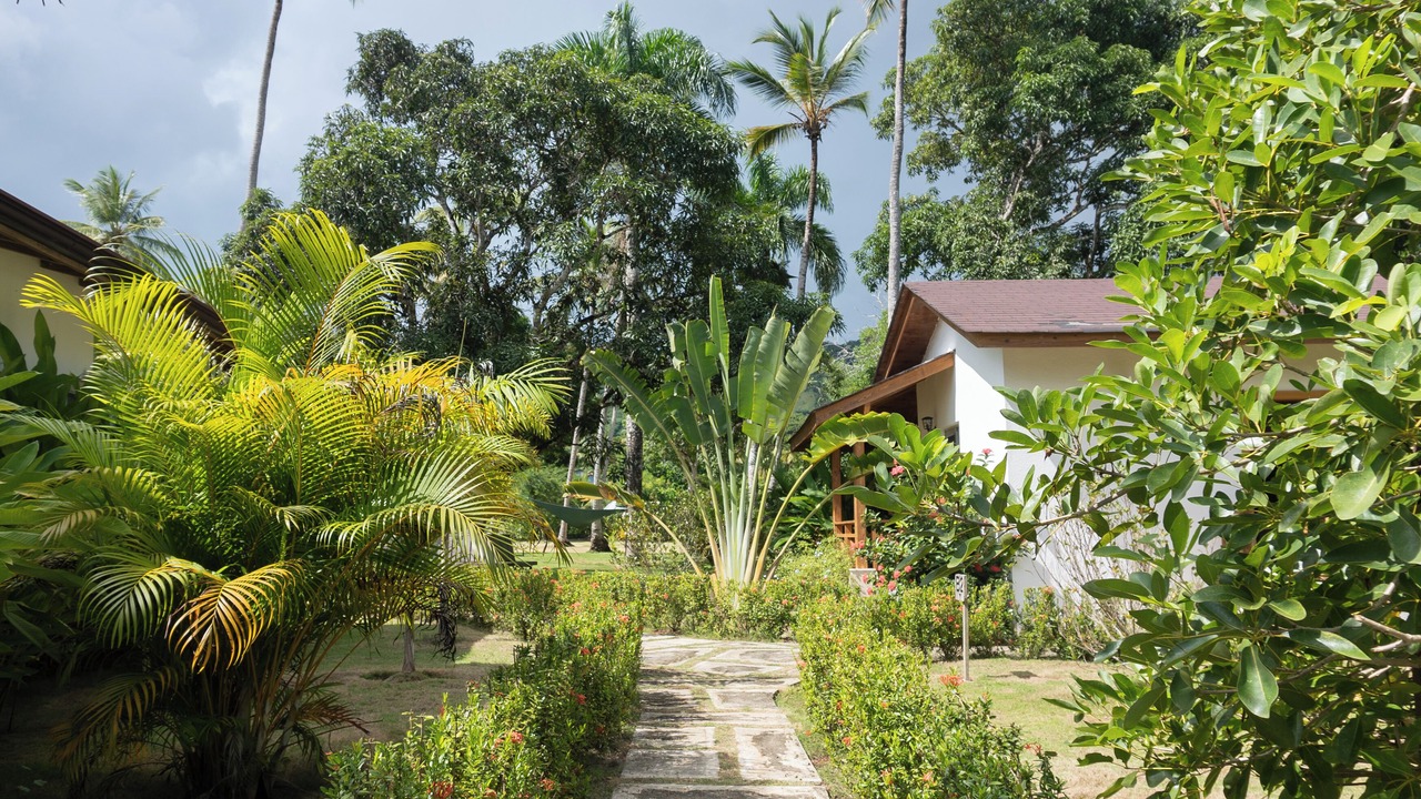 Photo of Outdoor in Puerto Bahia