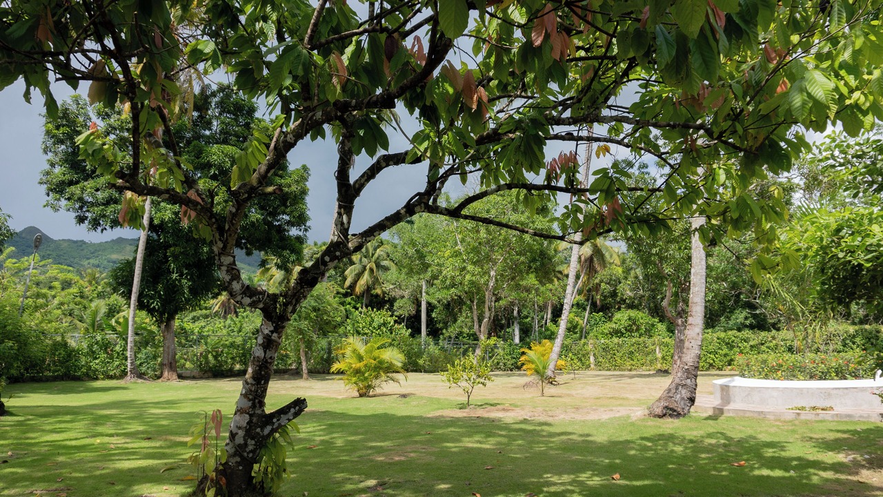 Photo of Outdoor in Sanchez