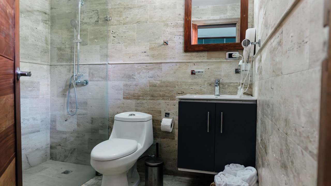 Photo of Bathroom in Sanchez