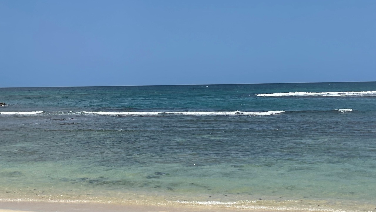 Photo of Others in Quisqueya
