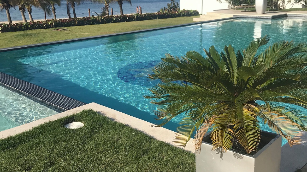 Photo of Outdoor in Quisqueya