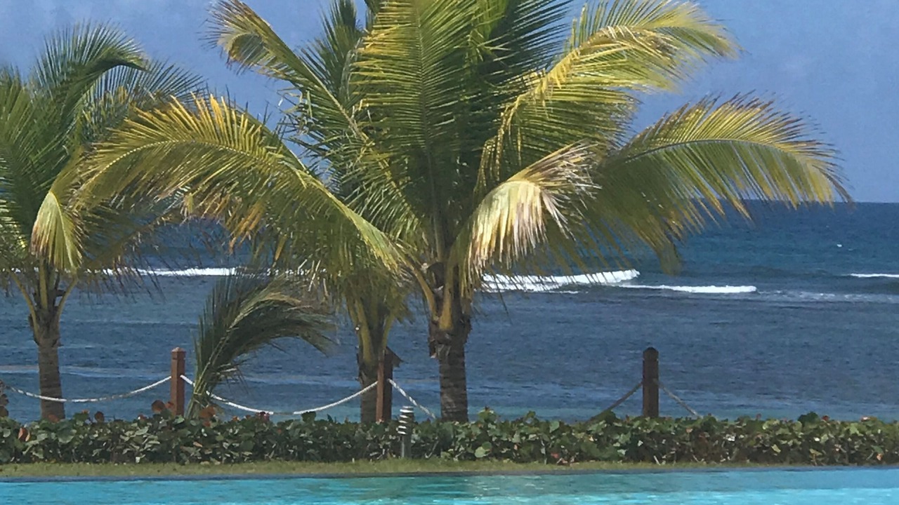 Photo of Outdoor in Quisqueya