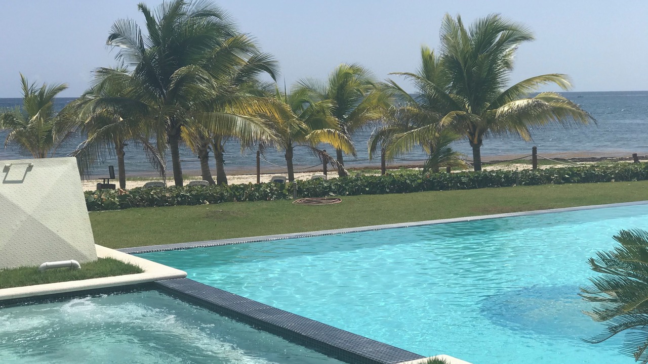 Photo of Outdoor in Quisqueya