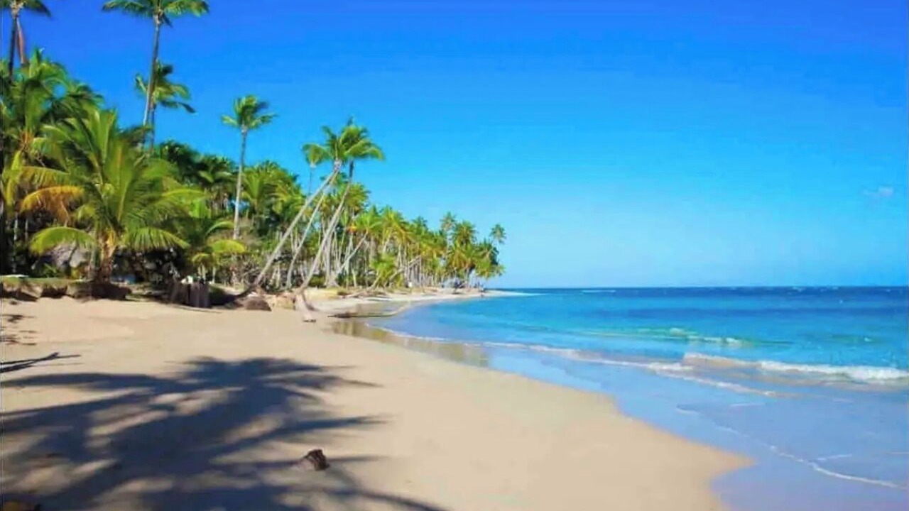 Photo of Others in Las Terrenas