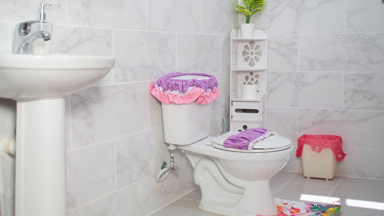 Photo of Bathroom in Santiago de los Caballeros