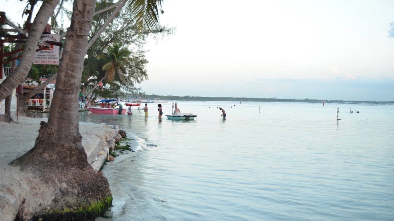 Photo of Others in Reparto Ibarra