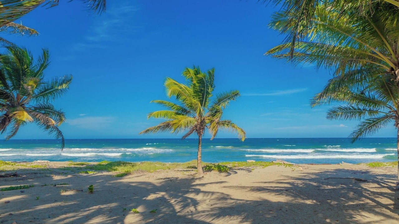 Photo of Others in Cabarete