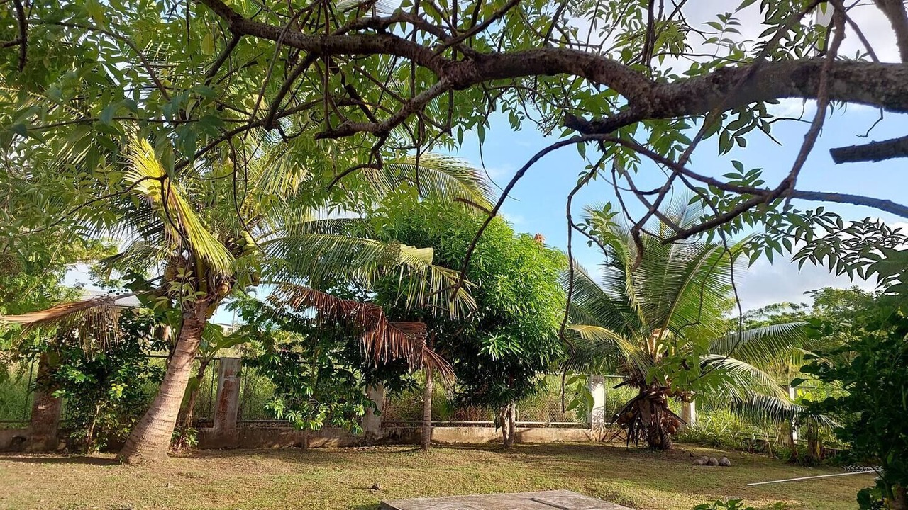 Photo of Outdoor in Sigatoka