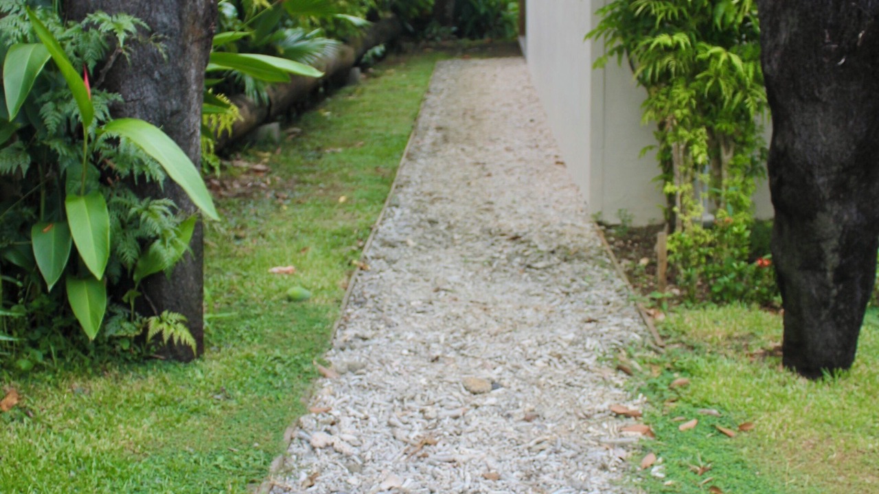 Photo of Outdoor in Taveuni Island East