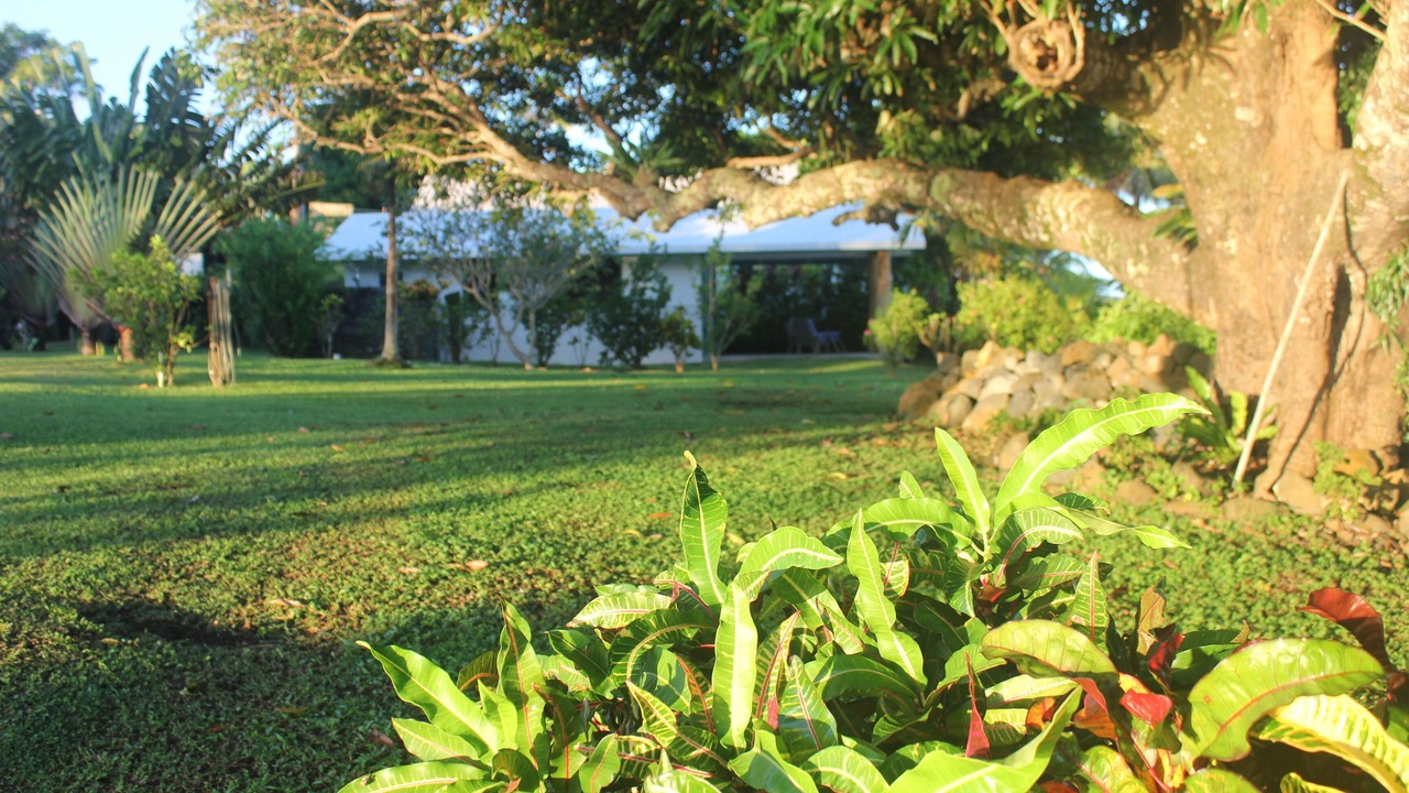 Photo of Outdoor in Taveuni Island East