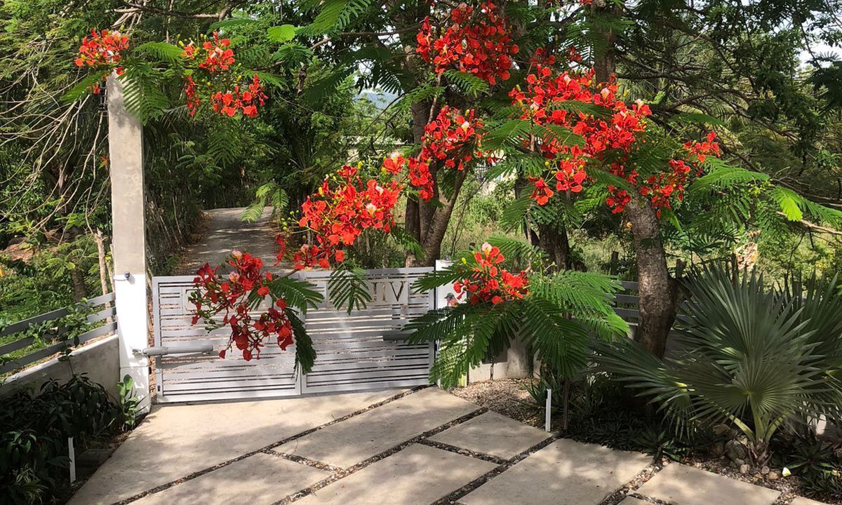 Photo of Outdoor in Rio San Juan