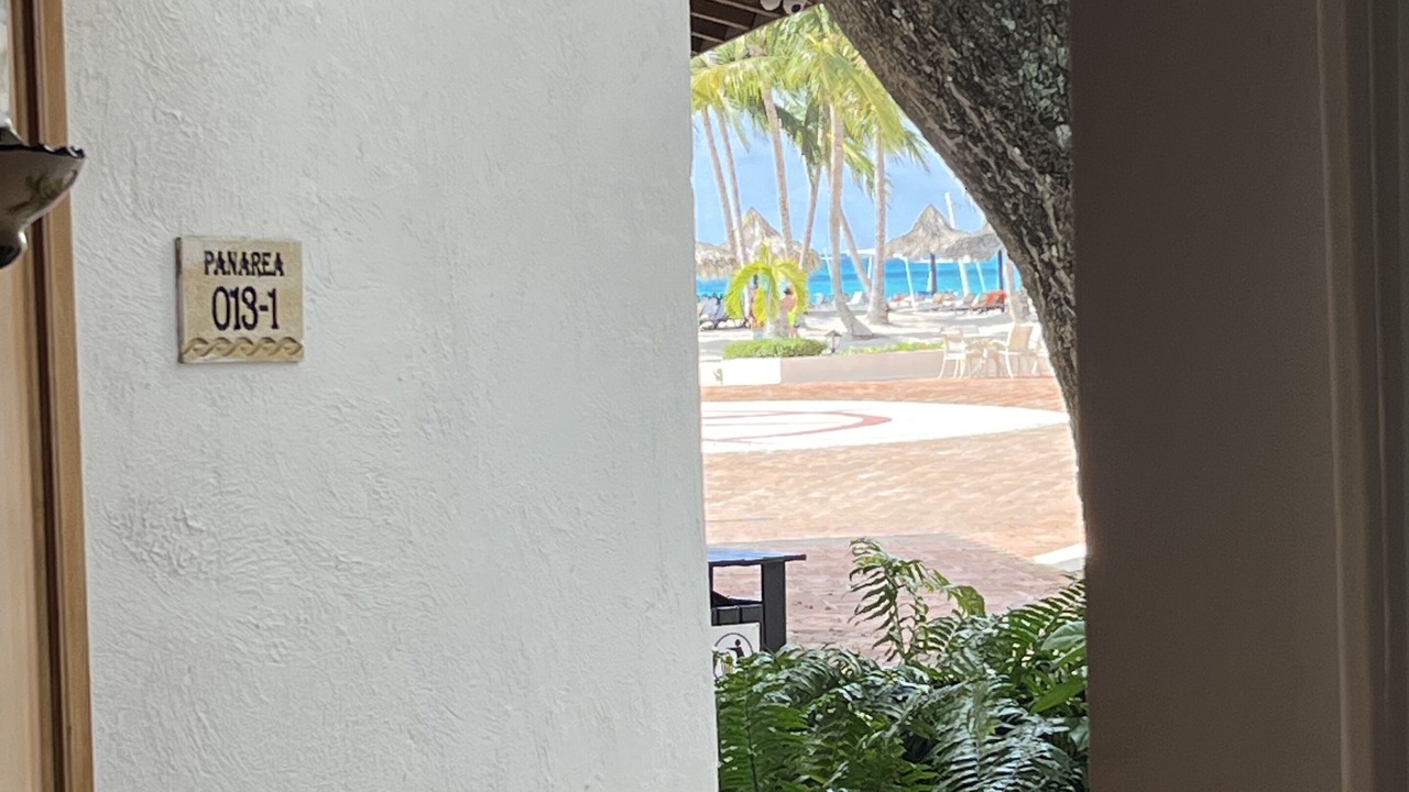 Photo of Others in Bayahibe