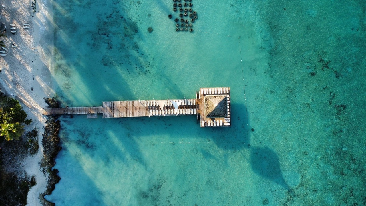 Photo of Others in Bayahibe