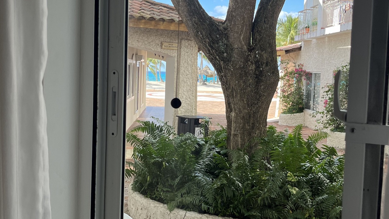 Photo of Others in Bayahibe