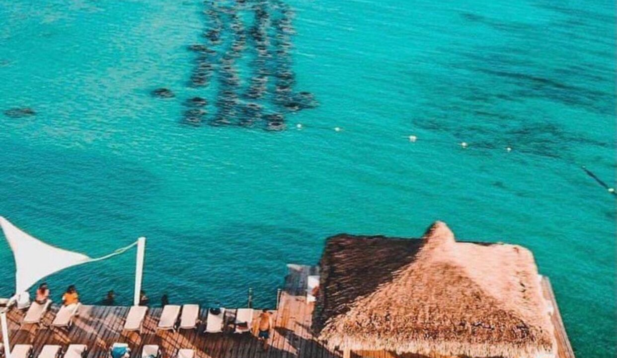Photo of Others in Dominicus