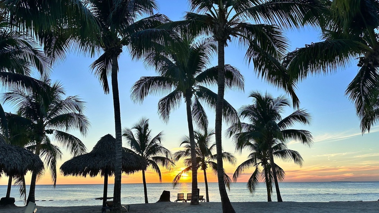 Photo of Others in Dominicus