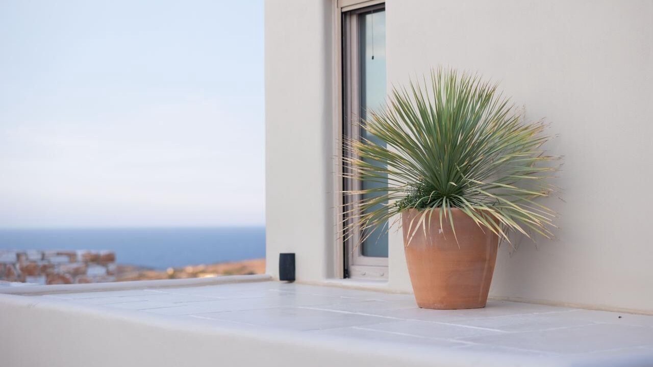 Photo of Others in Naxos