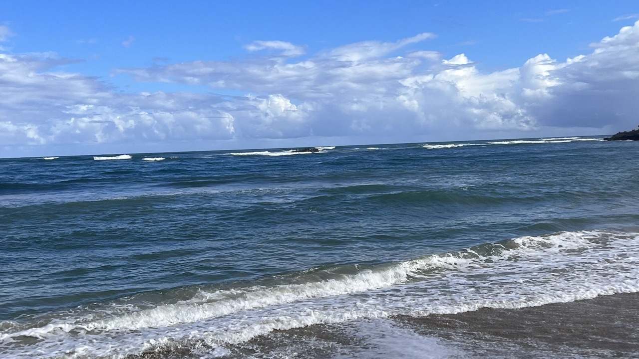 Photo of Others in Puerto Plata