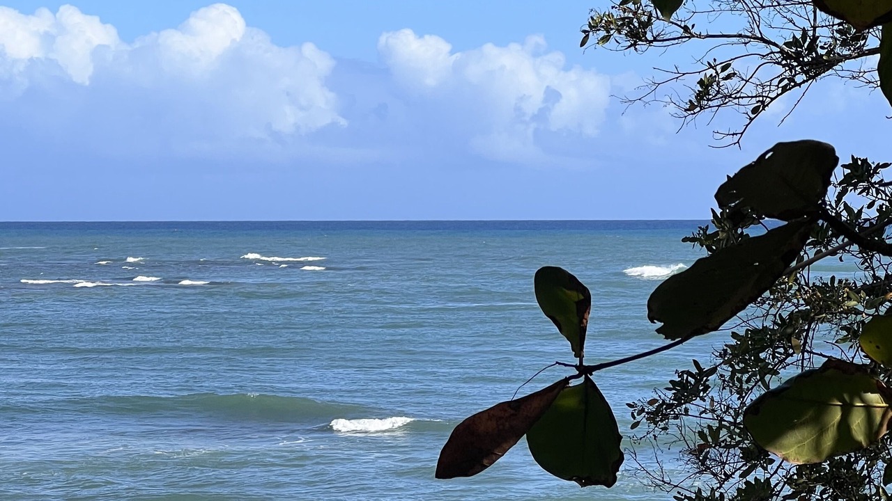 Photo of Others in Puerto Plata