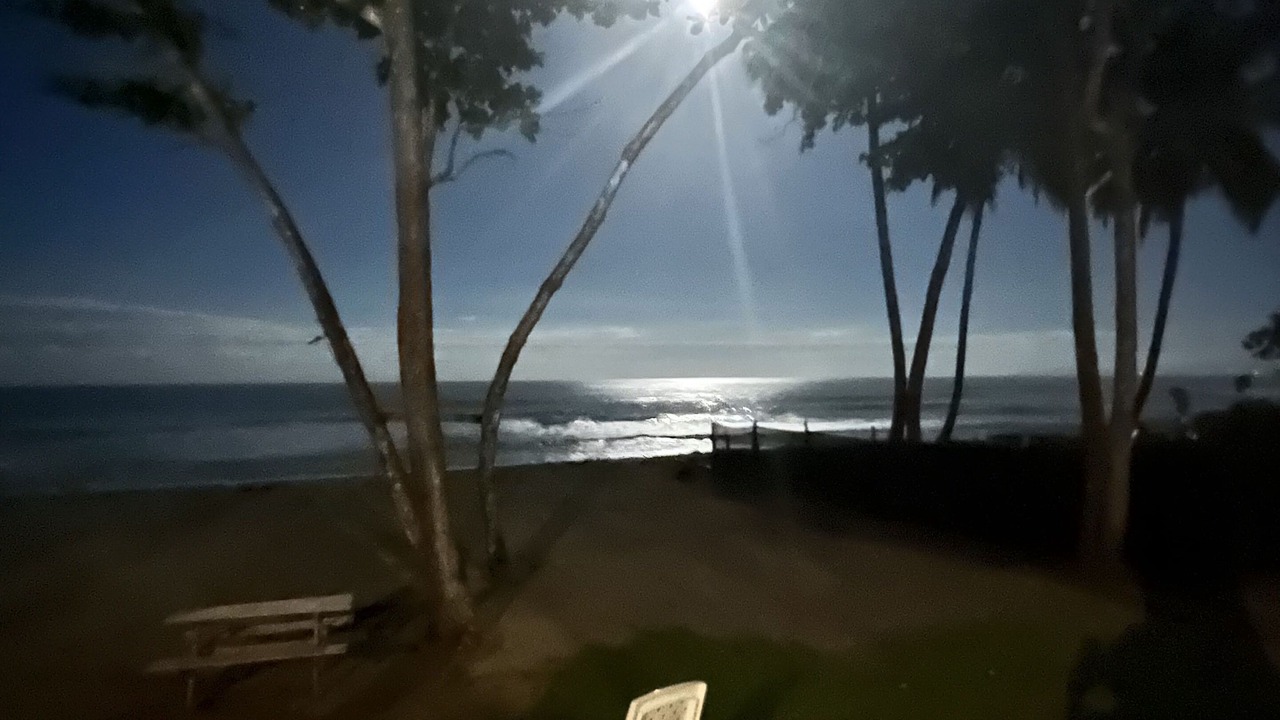 Photo of Outdoor in Las Canas