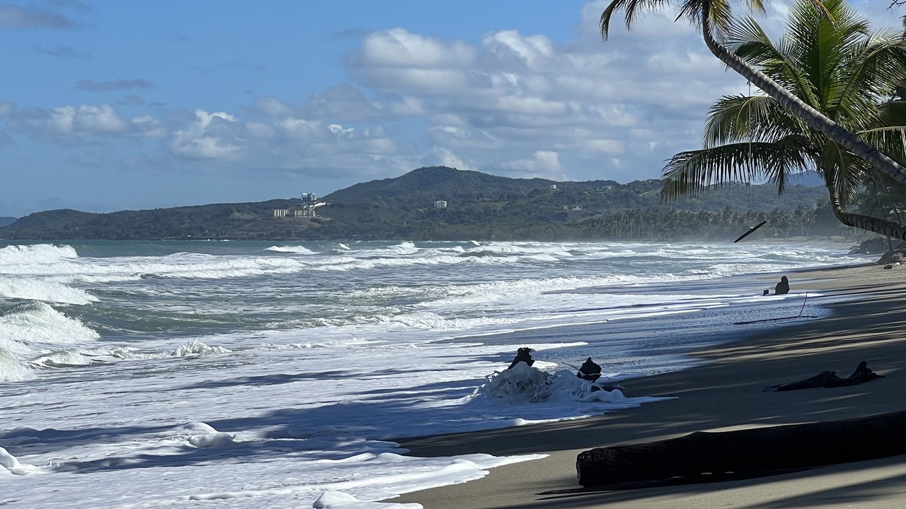 Photo of Others in Las Canas