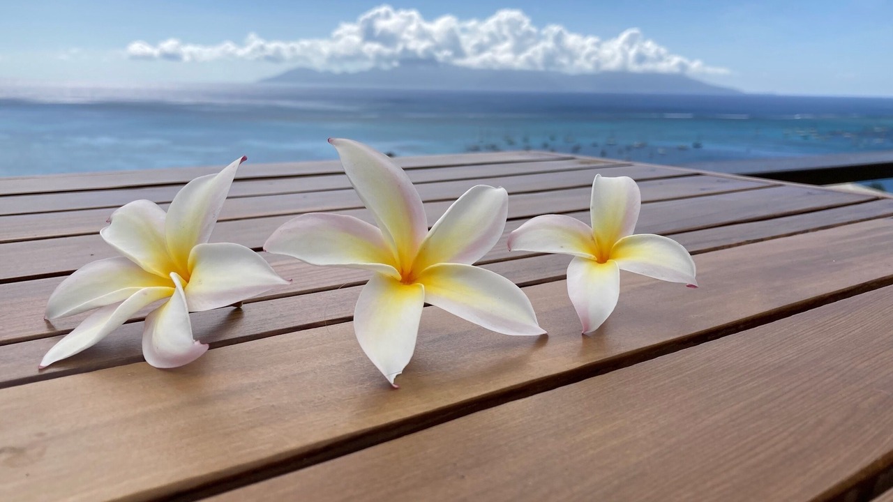 Photo of Outdoor in Punaauia