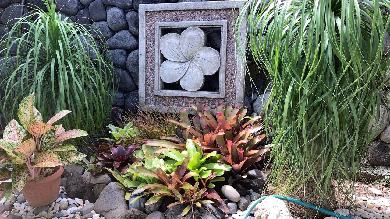 Photo of Outdoor in Punaauia