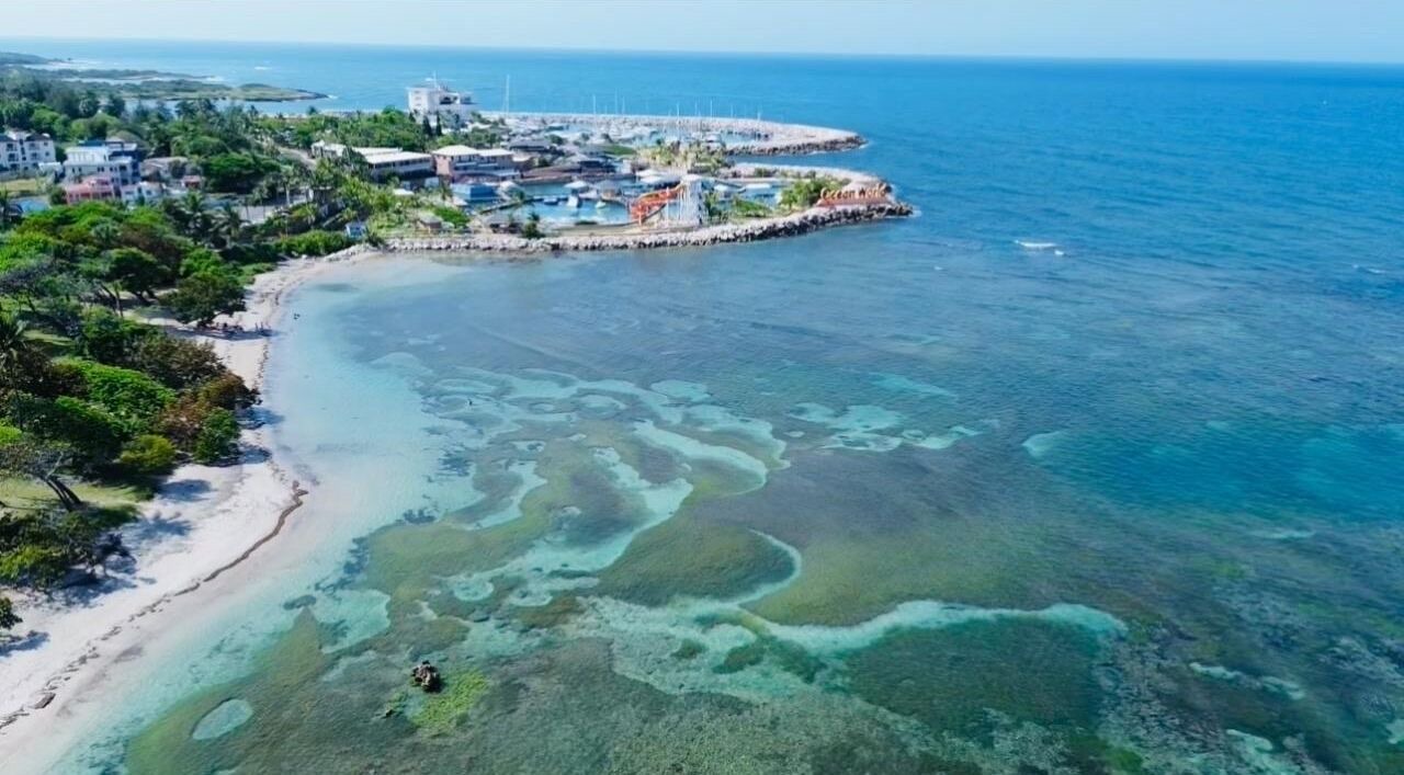 Photo of Others in Puerto Plata