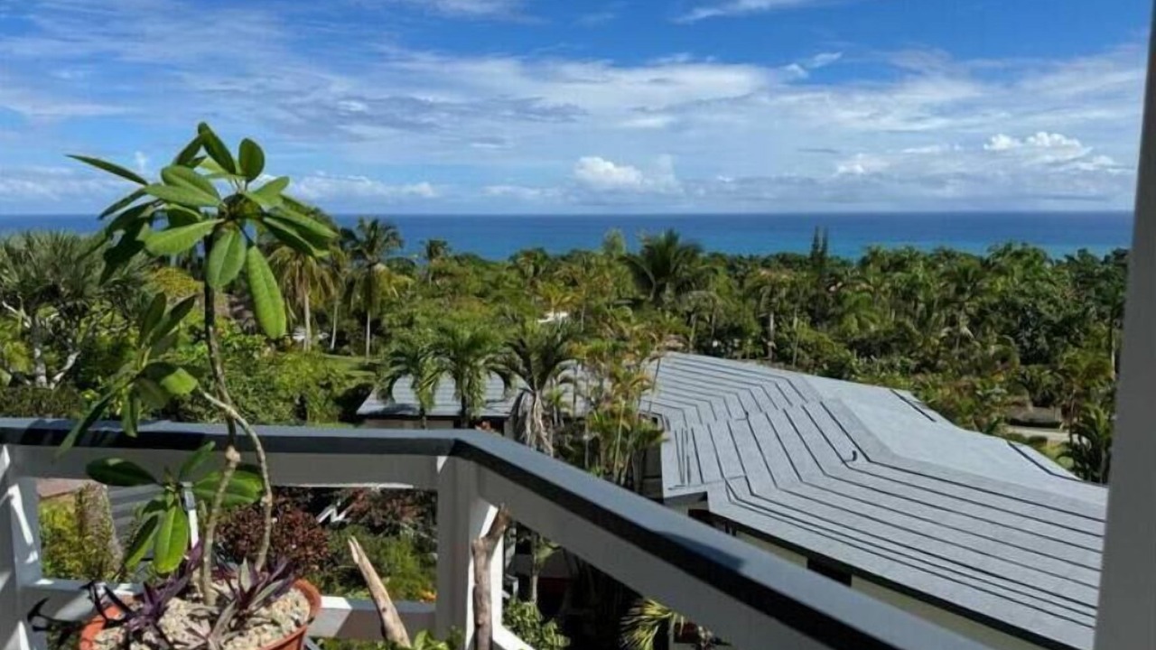 Photo of Outdoor in Cabrera