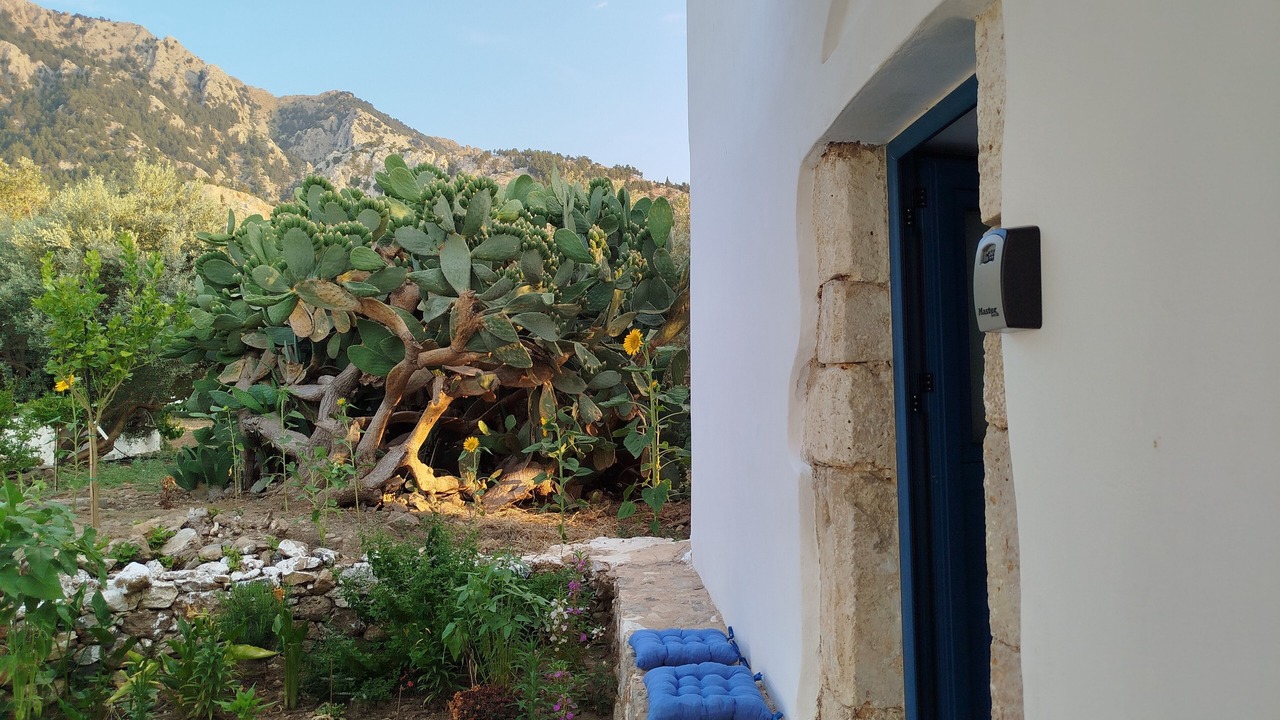 Photo of Outdoor in Lagoudi Zia
