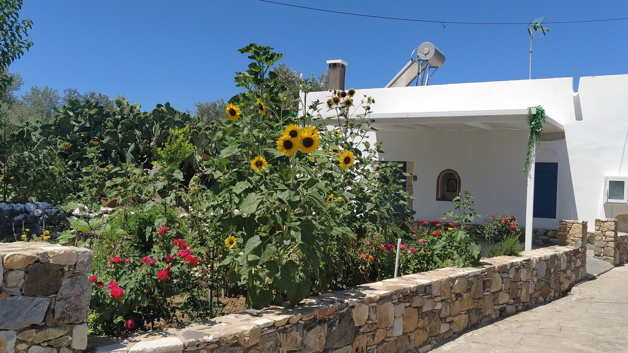 Photo of Outdoor in Lagoudi Zia