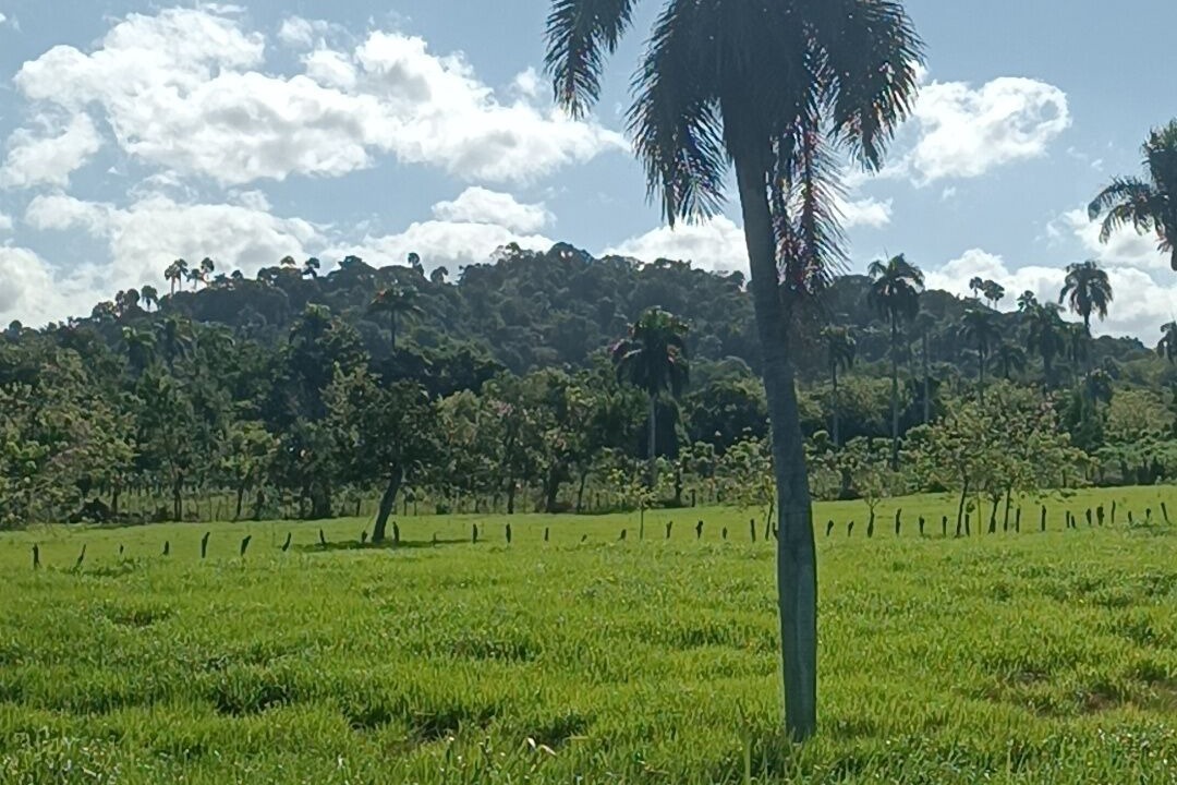 Photo of Outdoor in Imbert