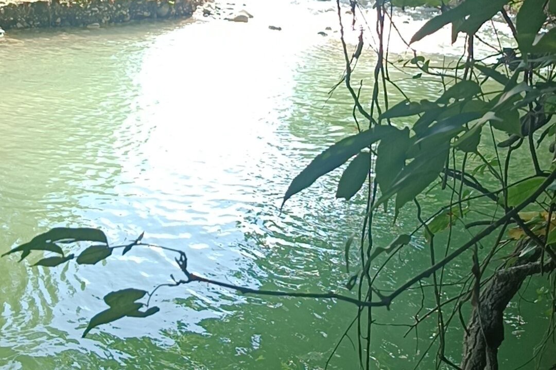 Photo of Others in Imbert