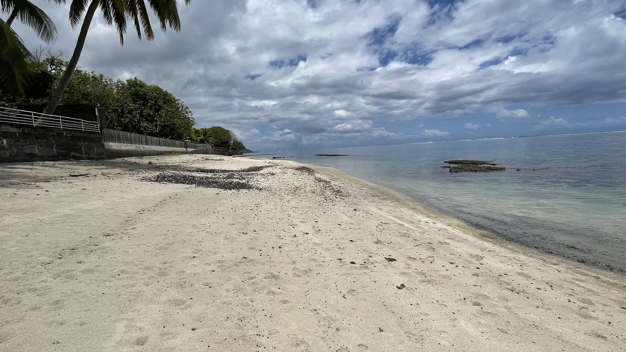 Photo of Others in Paea