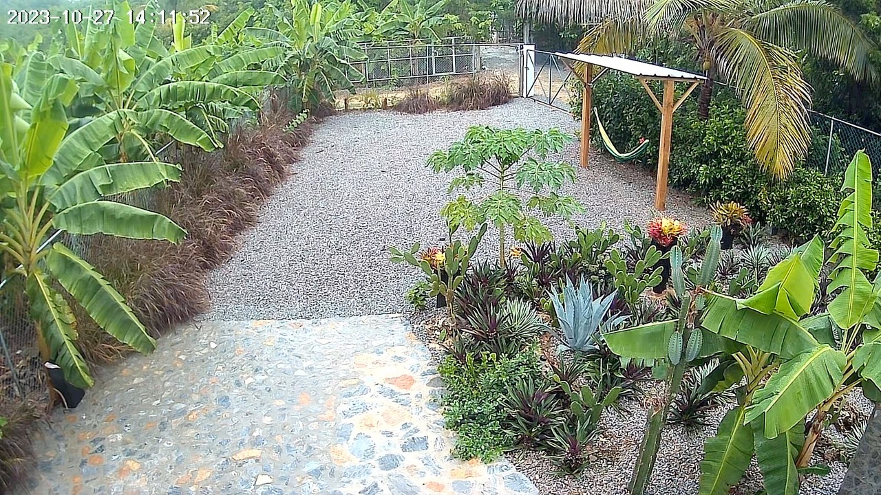 Photo of Outdoor in Las Galeras