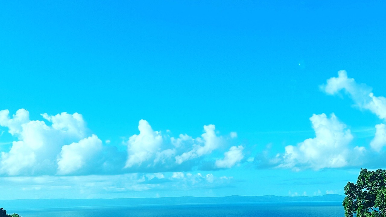 Photo of Others in Las Galeras
