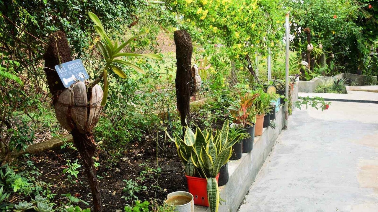Photo of Outdoor in Ba
