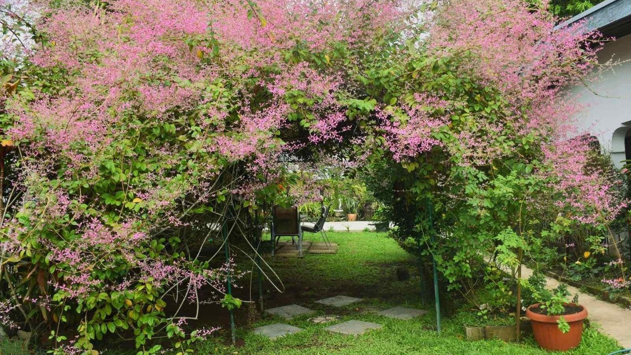 Photo of Outdoor in Ba