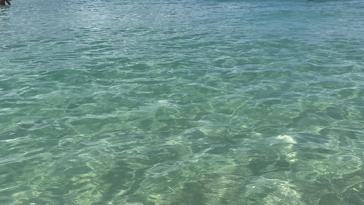 Photo of Others in Dominicus