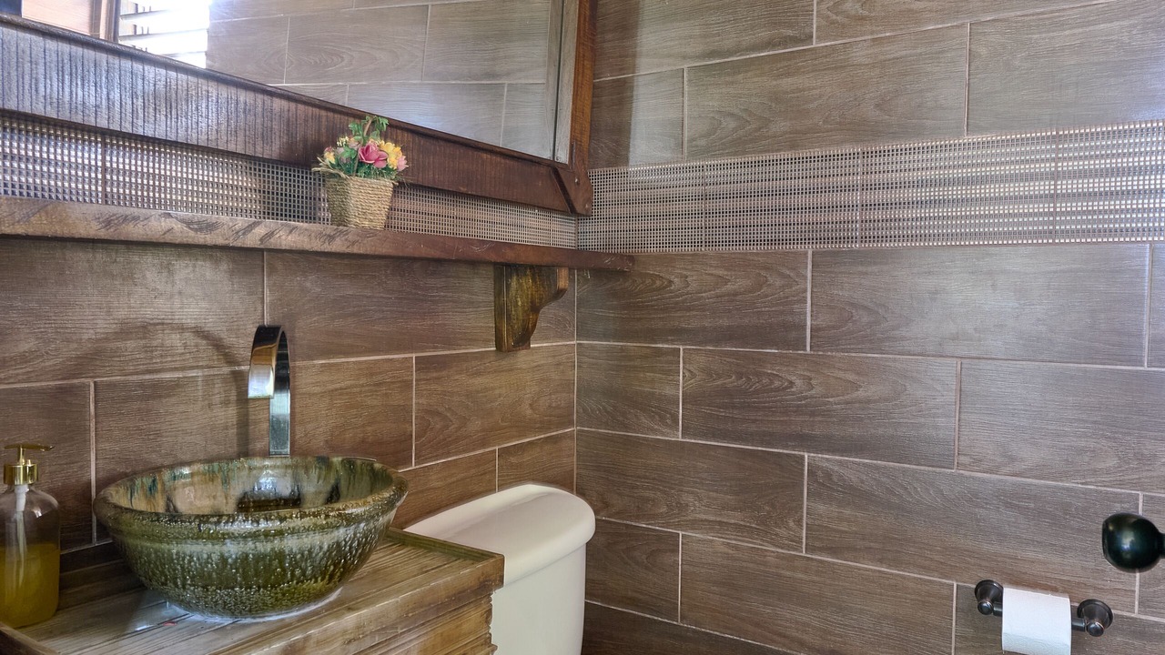 Photo of Bathroom in La Joya