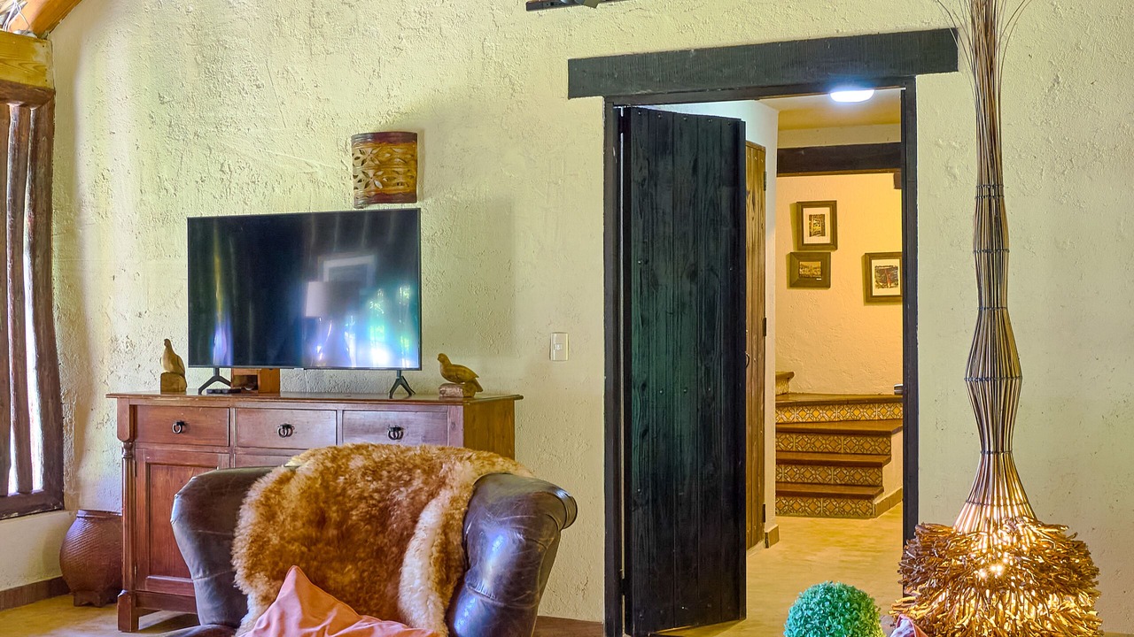 Photo of Livingroom in La Joya