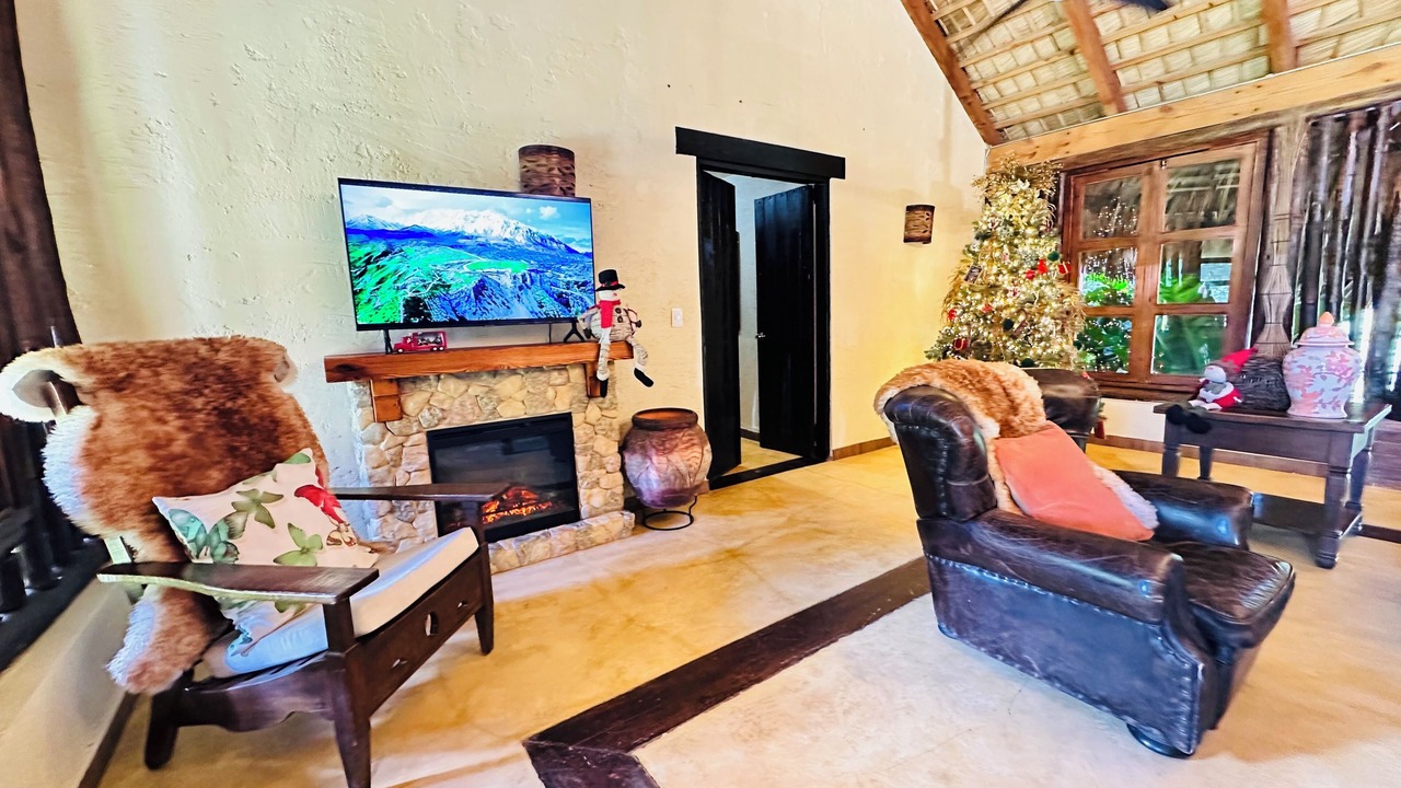 Photo of Livingroom in La Joya