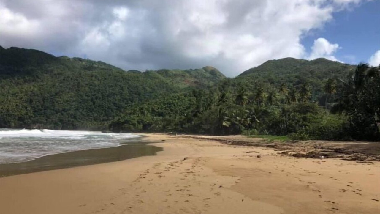 Photo of Others in Samana