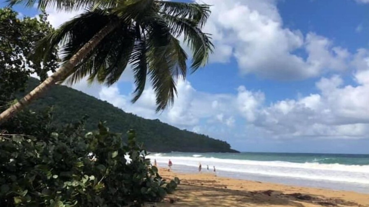 Photo of Others in Samana