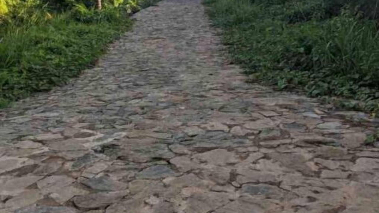 Photo of Outdoor in Samana