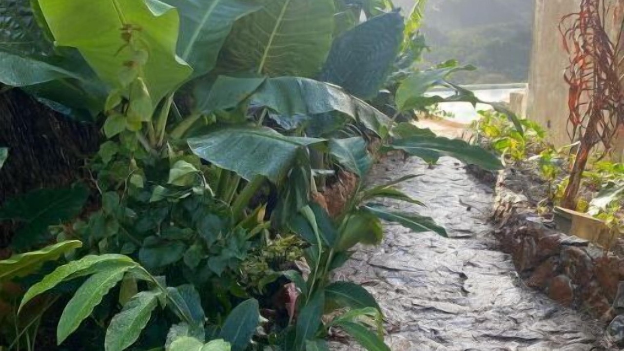 Photo of Outdoor in Samana