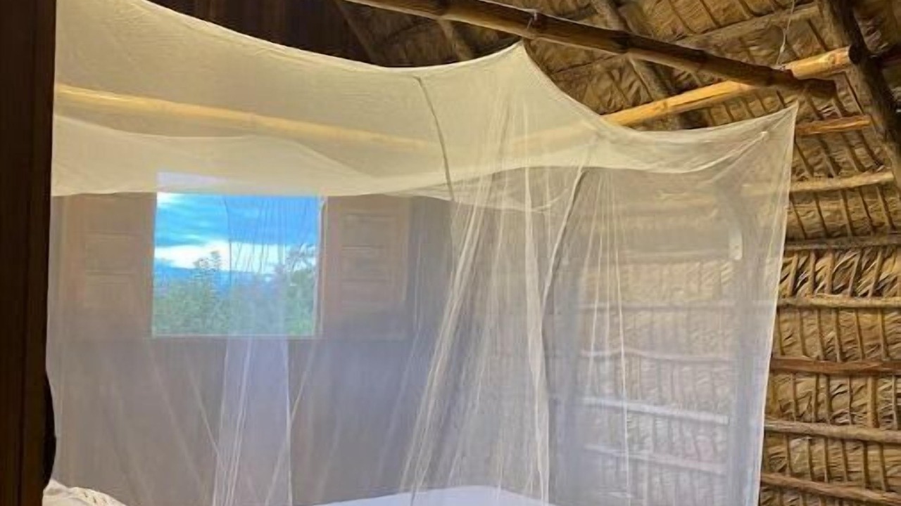 Photo of Bedroom in Samana